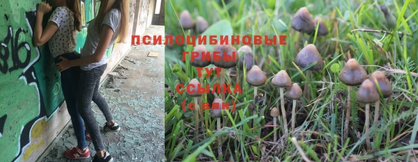 первитин Лиски