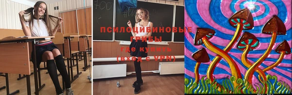 первитин Лиски